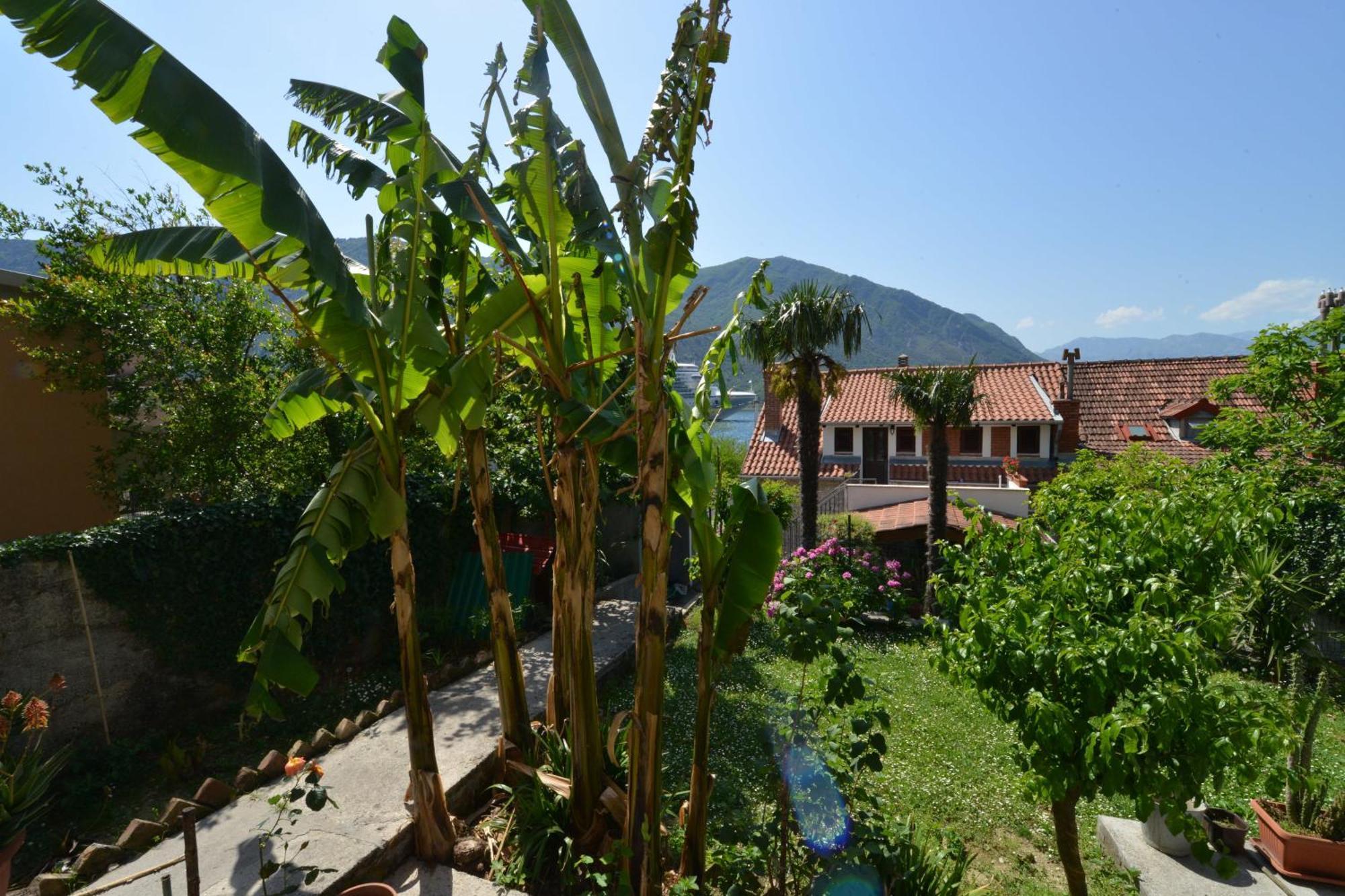 Apartments Popovic 2 Kotor Habitación foto